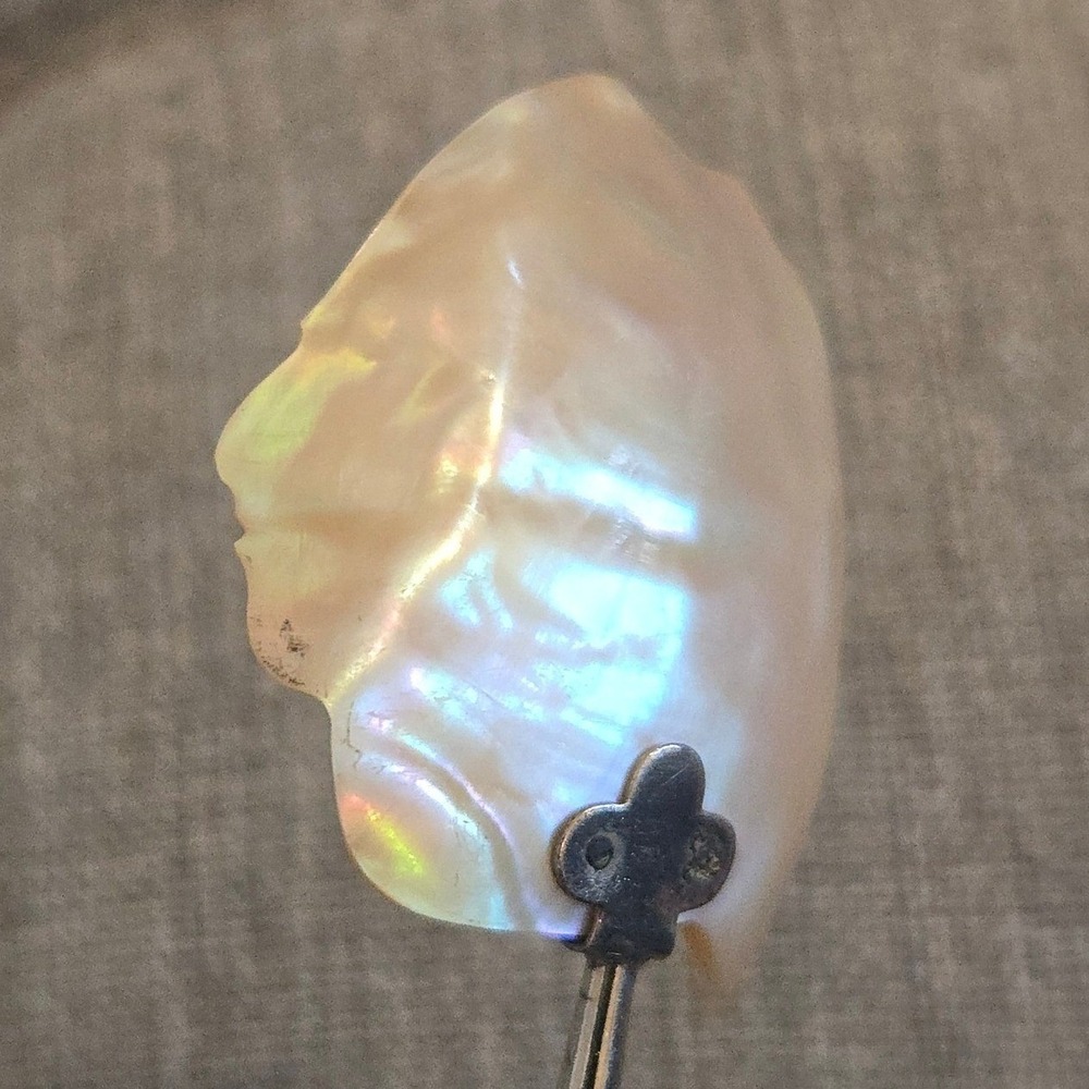VTG Mother of Pearl Salt Spoon Jamestown RI Indian Chief 7" Victorian 1890s 19th - Picture 5 of 9